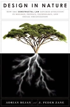 Design in Nature: How the Constructal Law Governs Evolution in Biology, Physics, Technology, and Social Organization (book cover)