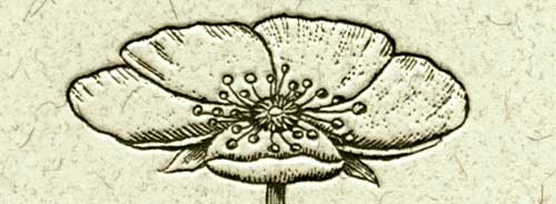 The Soul of Science (detail of cover)