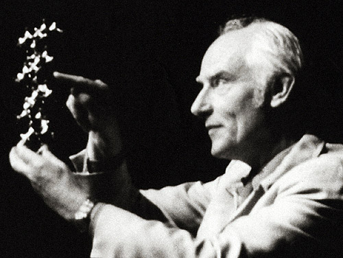 Francis Crick photo