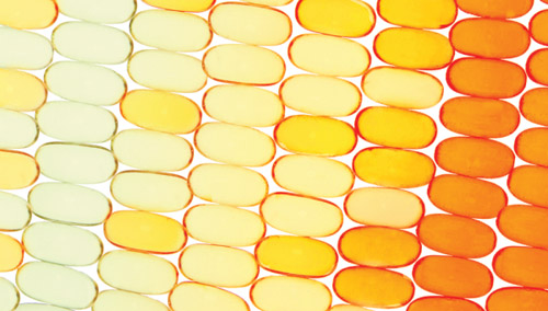 detail of book cover